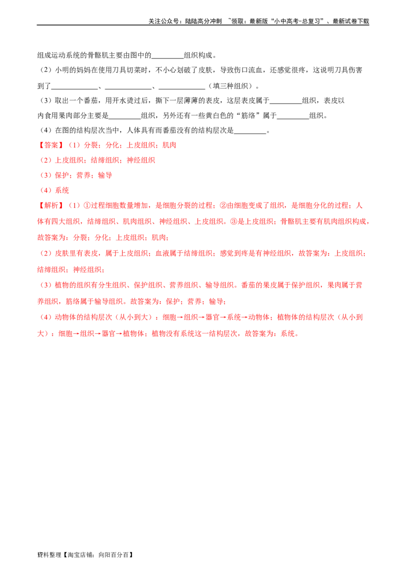 专题03细胞怎样构成生物体（解析版）_02中考总复习（2026版更新中）_08-生物-中考总复习_2024年中考复习资料_一轮复习_省心备考2024年中考生物一轮复习精讲精练（全国通用）