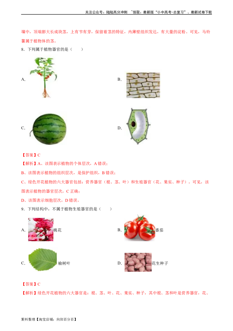专题03细胞怎样构成生物体（解析版）_02中考总复习（2026版更新中）_08-生物-中考总复习_2024年中考复习资料_一轮复习_省心备考2024年中考生物一轮复习精讲精练（全国通用）