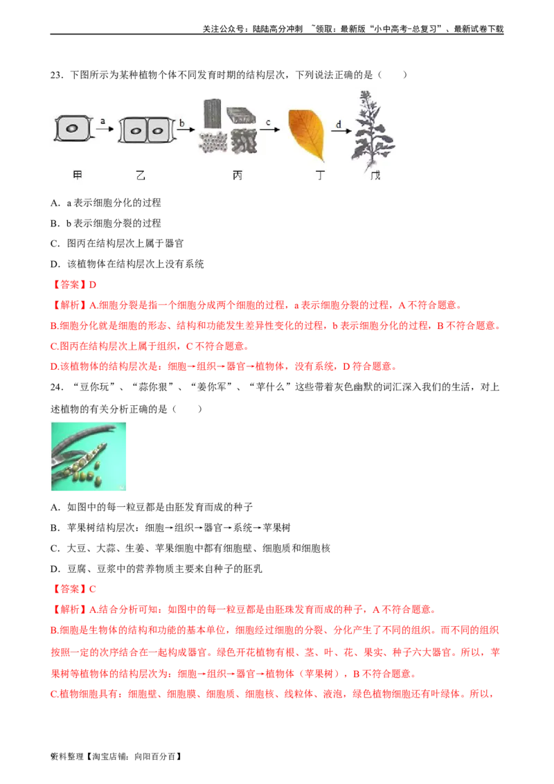 专题03细胞怎样构成生物体（解析版）_02中考总复习（2026版更新中）_08-生物-中考总复习_2024年中考复习资料_一轮复习_省心备考2024年中考生物一轮复习精讲精练（全国通用）