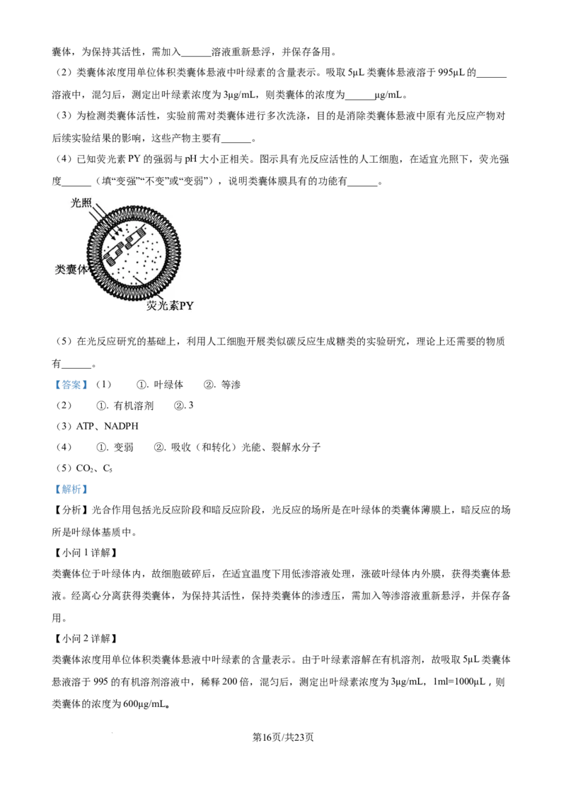 2025年江苏高考生物真题试卷（解析版）_2025全国各省高考真题+答案_6、江苏卷（物理、历史、化学、地理、政治、生物）_参考版本2