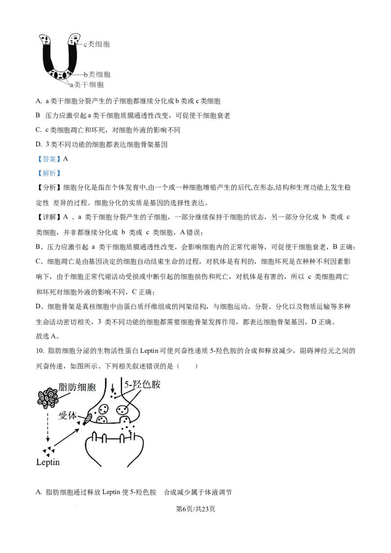 2025年江苏高考生物真题试卷（解析版）_2025全国各省高考真题+答案_6、江苏卷（物理、历史、化学、地理、政治、生物）_参考版本2