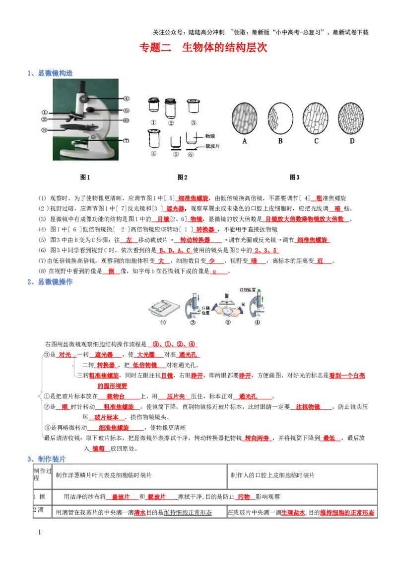 专题02生物体的结构层次（背诵版）_02中考总复习（2026版更新中）_08-生物-中考总复习_2025中考复习资料_2025年中考生物知识梳理_专题02生物体的结构层次_专题02生物体的结构层次