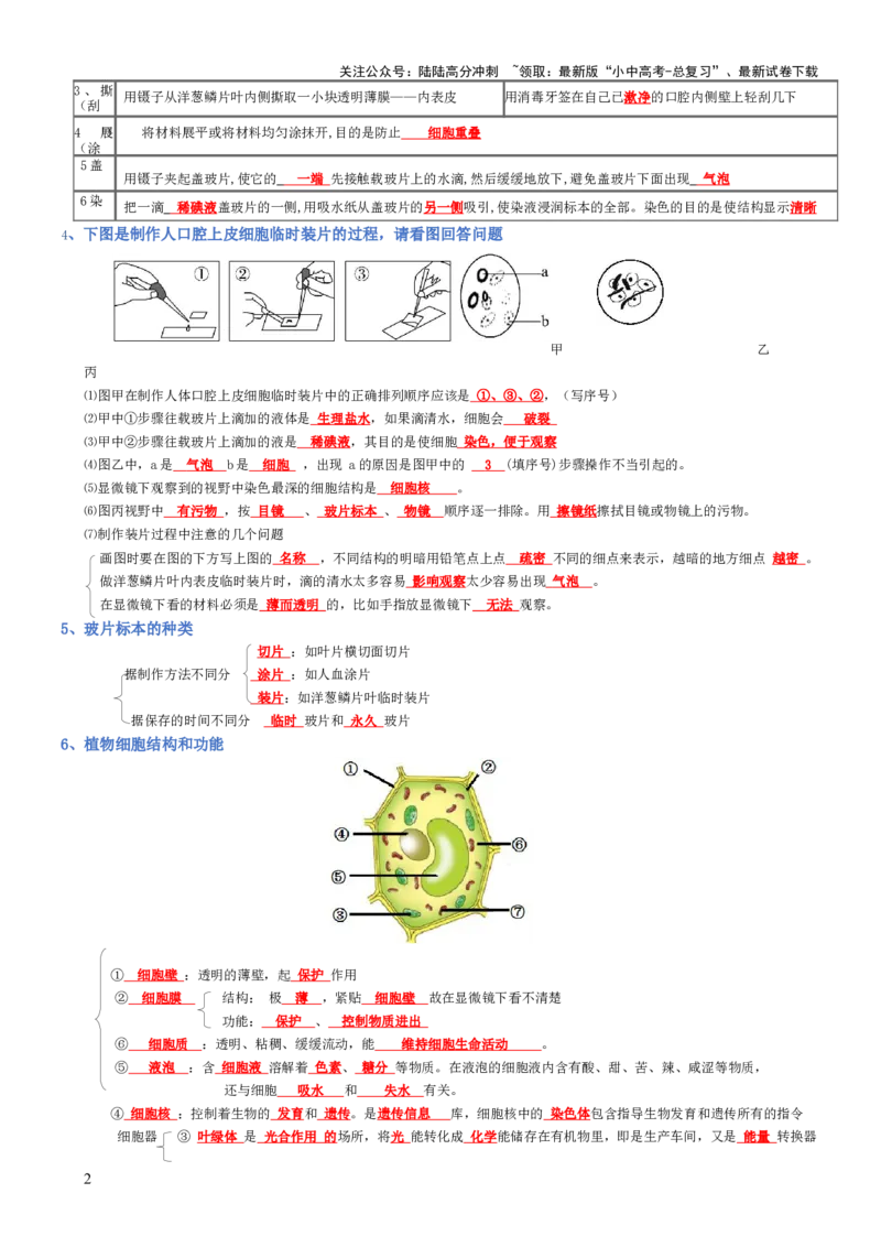 专题02生物体的结构层次（背诵版）_02中考总复习（2026版更新中）_08-生物-中考总复习_2025中考复习资料_2025年中考生物知识梳理_专题02生物体的结构层次_专题02生物体的结构层次
