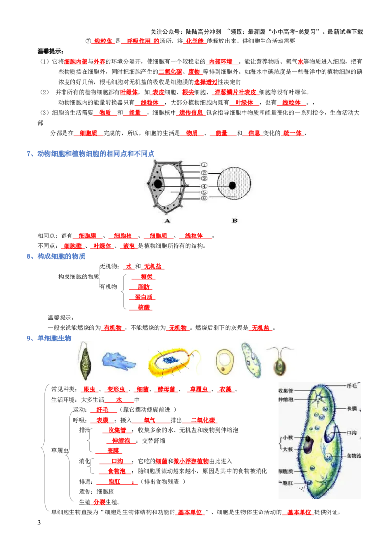 专题02生物体的结构层次（背诵版）_02中考总复习（2026版更新中）_08-生物-中考总复习_2025中考复习资料_2025年中考生物知识梳理_专题02生物体的结构层次_专题02生物体的结构层次