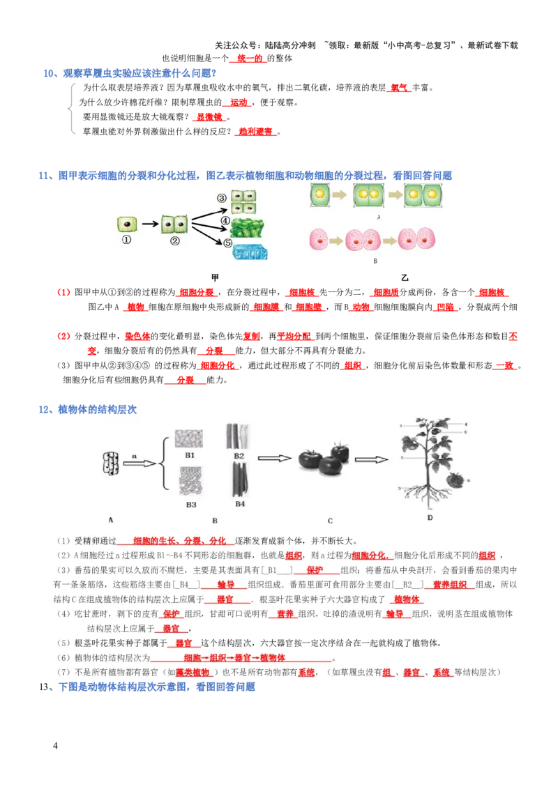 专题02生物体的结构层次（背诵版）_02中考总复习（2026版更新中）_08-生物-中考总复习_2025中考复习资料_2025年中考生物知识梳理_专题02生物体的结构层次_专题02生物体的结构层次