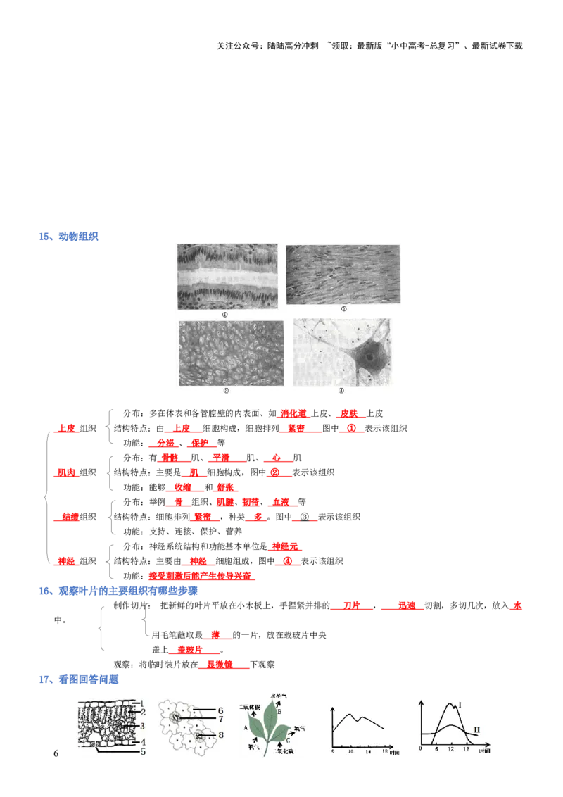 专题02生物体的结构层次（背诵版）_02中考总复习（2026版更新中）_08-生物-中考总复习_2025中考复习资料_2025年中考生物知识梳理_专题02生物体的结构层次_专题02生物体的结构层次