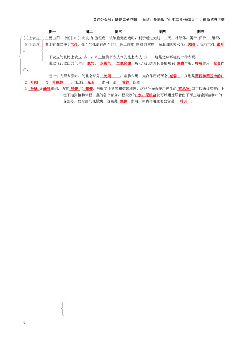 专题02生物体的结构层次（背诵版）_02中考总复习（2026版更新中）_08-生物-中考总复习_2025中考复习资料_2025年中考生物知识梳理_专题02生物体的结构层次_专题02生物体的结构层次