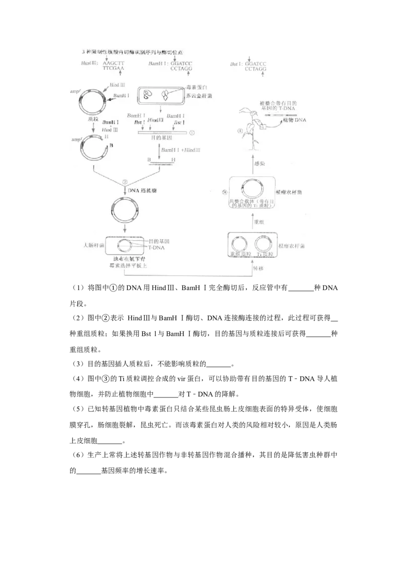 2009年江苏省高考生物试卷_全国卷+地方卷_6.生物_1.生物高考真题试卷_2008-2020年_地方卷_江苏高考生物07-20_A4word版