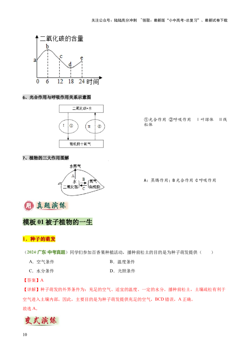 专题03植物的生活（3大模板）（解析版）_02中考总复习（2026版更新中）_08-生物-中考总复习_2025中考复习资料_2025年中考生物答题方法模板