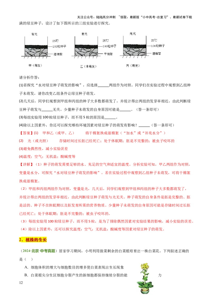 专题03植物的生活（3大模板）（解析版）_02中考总复习（2026版更新中）_08-生物-中考总复习_2025中考复习资料_2025年中考生物答题方法模板