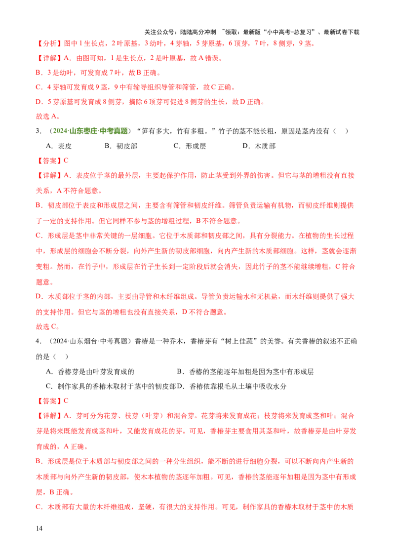 专题03植物的生活（3大模板）（解析版）_02中考总复习（2026版更新中）_08-生物-中考总复习_2025中考复习资料_2025年中考生物答题方法模板