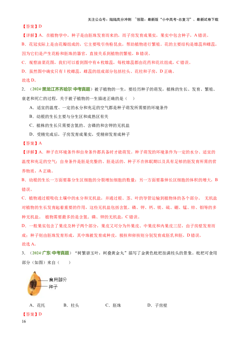 专题03植物的生活（3大模板）（解析版）_02中考总复习（2026版更新中）_08-生物-中考总复习_2025中考复习资料_2025年中考生物答题方法模板