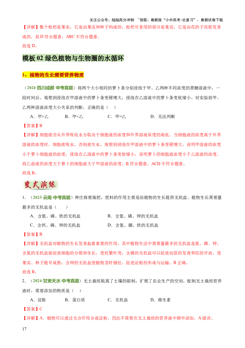 专题03植物的生活（3大模板）（解析版）_02中考总复习（2026版更新中）_08-生物-中考总复习_2025中考复习资料_2025年中考生物答题方法模板