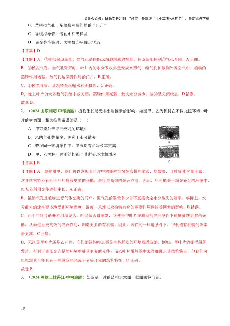 专题03植物的生活（3大模板）（解析版）_02中考总复习（2026版更新中）_08-生物-中考总复习_2025中考复习资料_2025年中考生物答题方法模板