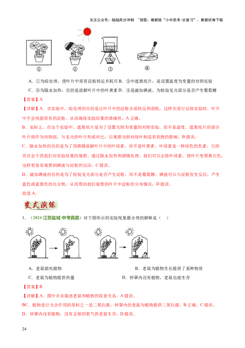 专题03植物的生活（3大模板）（解析版）_02中考总复习（2026版更新中）_08-生物-中考总复习_2025中考复习资料_2025年中考生物答题方法模板