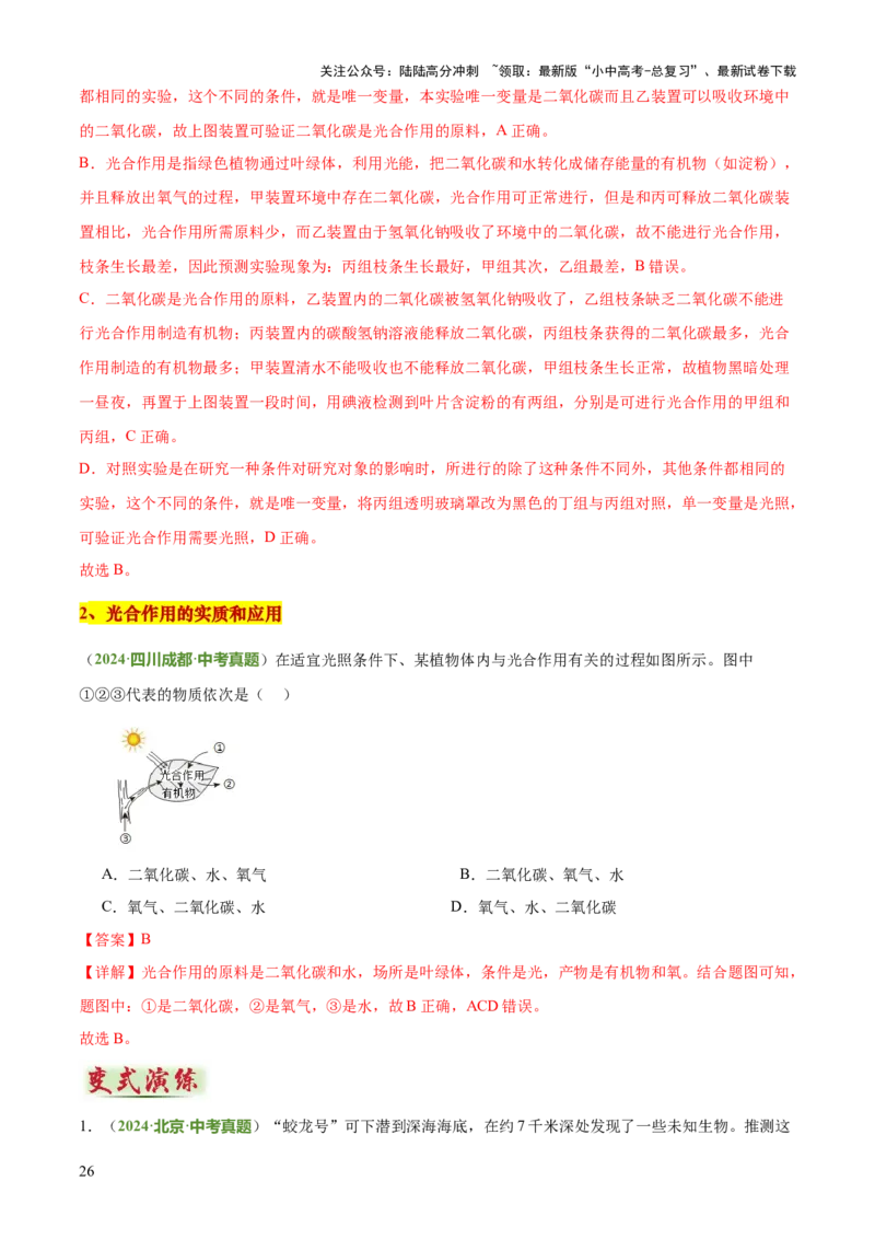 专题03植物的生活（3大模板）（解析版）_02中考总复习（2026版更新中）_08-生物-中考总复习_2025中考复习资料_2025年中考生物答题方法模板