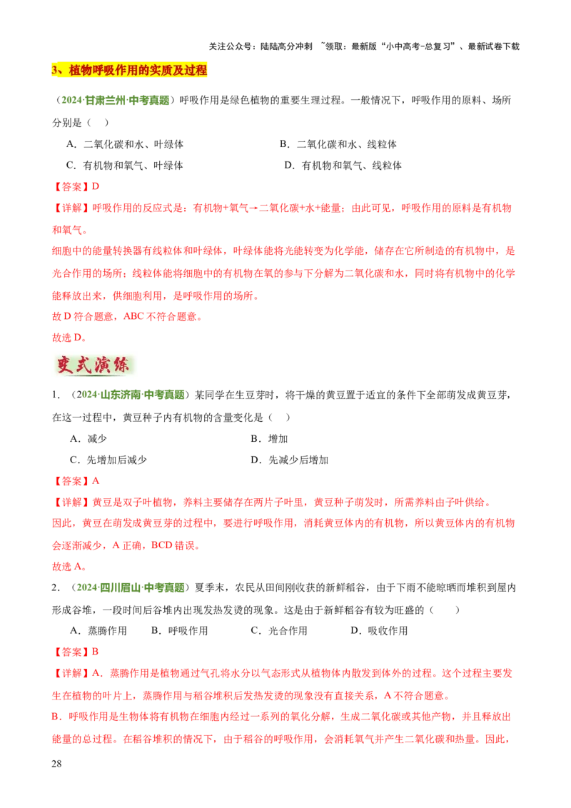 专题03植物的生活（3大模板）（解析版）_02中考总复习（2026版更新中）_08-生物-中考总复习_2025中考复习资料_2025年中考生物答题方法模板