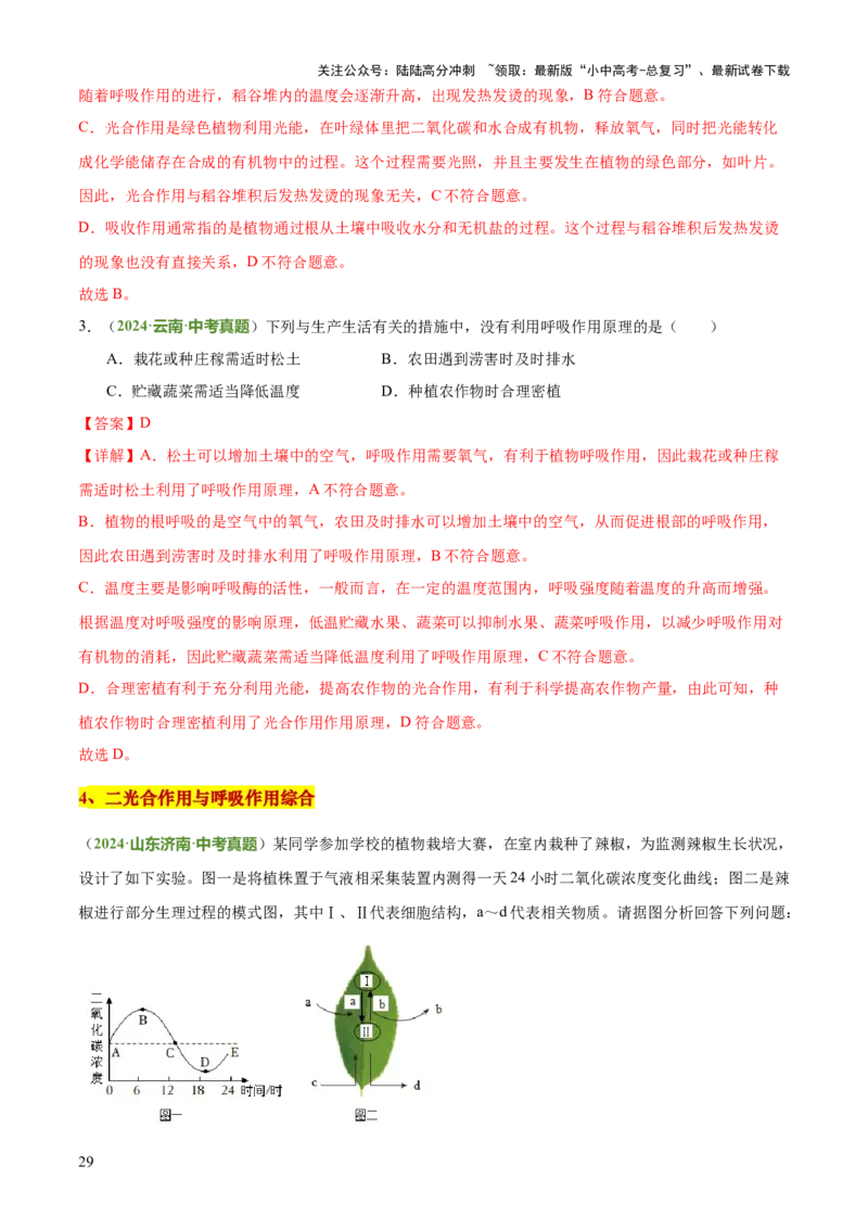专题03植物的生活（3大模板）（解析版）_02中考总复习（2026版更新中）_08-生物-中考总复习_2025中考复习资料_2025年中考生物答题方法模板