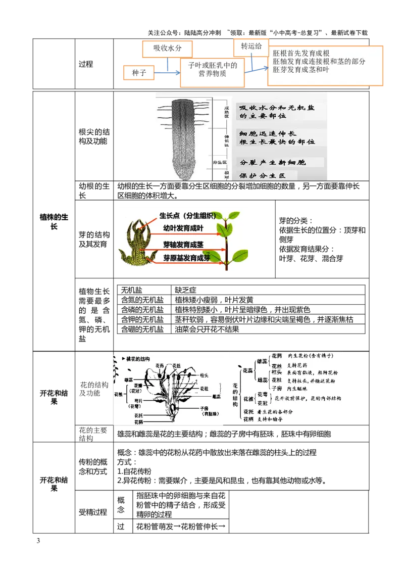 专题03植物的生活（3大模板）（解析版）_02中考总复习（2026版更新中）_08-生物-中考总复习_2025中考复习资料_2025年中考生物答题方法模板