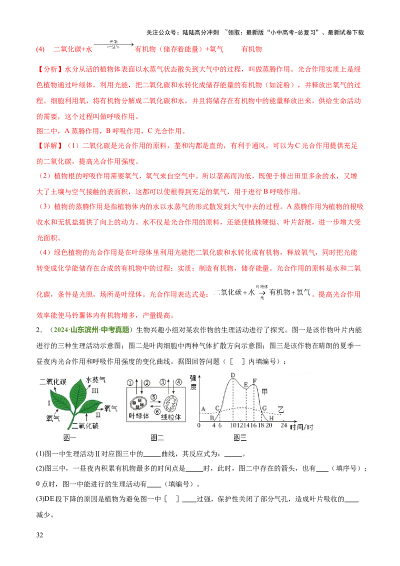 专题03植物的生活（3大模板）（解析版）_02中考总复习（2026版更新中）_08-生物-中考总复习_2025中考复习资料_2025年中考生物答题方法模板