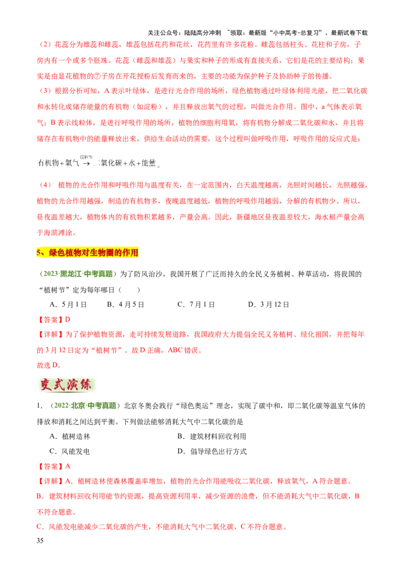 专题03植物的生活（3大模板）（解析版）_02中考总复习（2026版更新中）_08-生物-中考总复习_2025中考复习资料_2025年中考生物答题方法模板