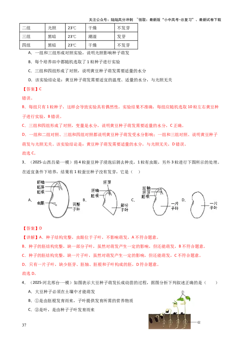 专题03植物的生活（3大模板）（解析版）_02中考总复习（2026版更新中）_08-生物-中考总复习_2025中考复习资料_2025年中考生物答题方法模板