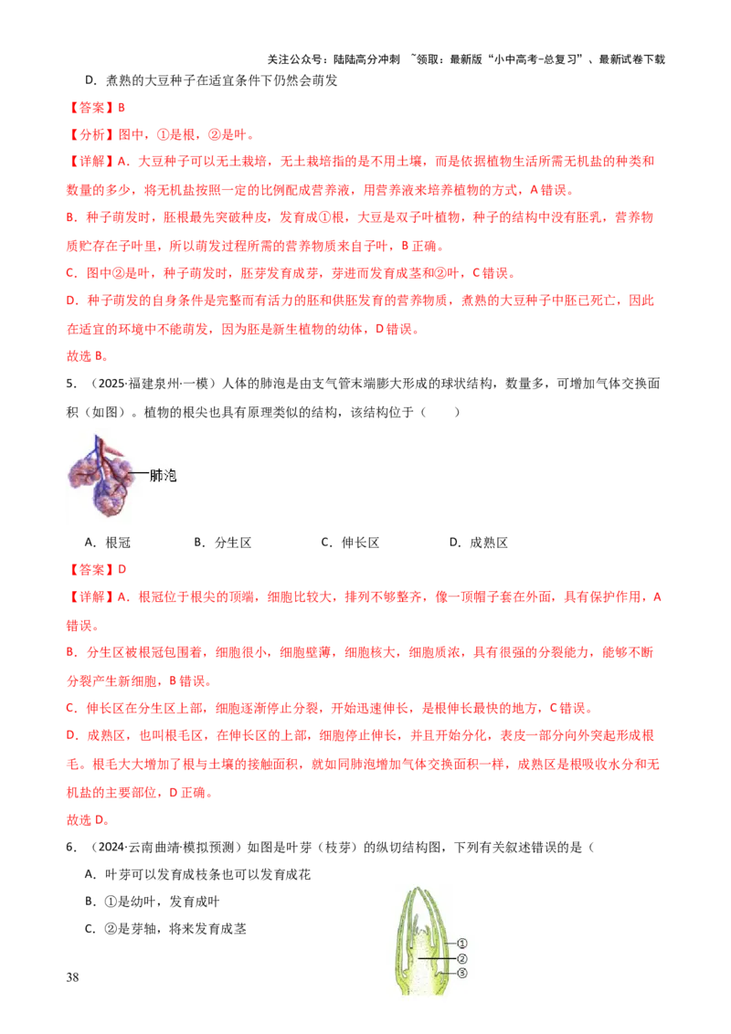 专题03植物的生活（3大模板）（解析版）_02中考总复习（2026版更新中）_08-生物-中考总复习_2025中考复习资料_2025年中考生物答题方法模板