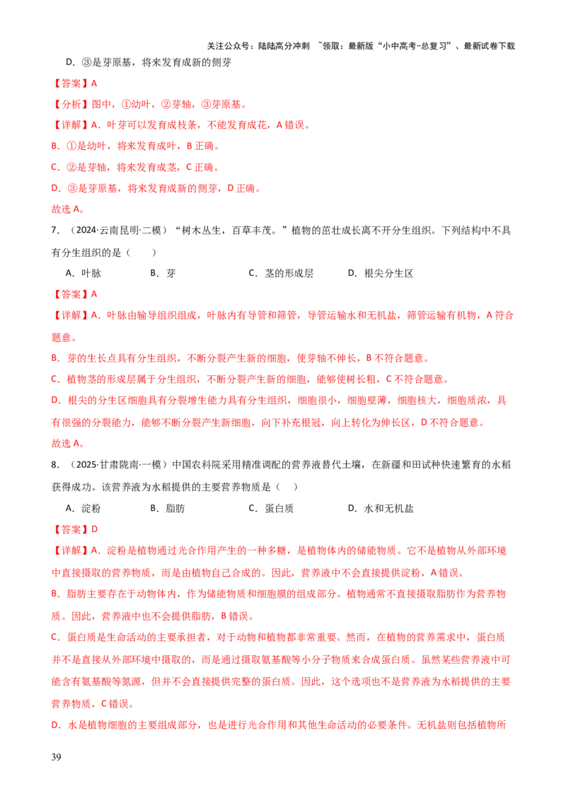 专题03植物的生活（3大模板）（解析版）_02中考总复习（2026版更新中）_08-生物-中考总复习_2025中考复习资料_2025年中考生物答题方法模板