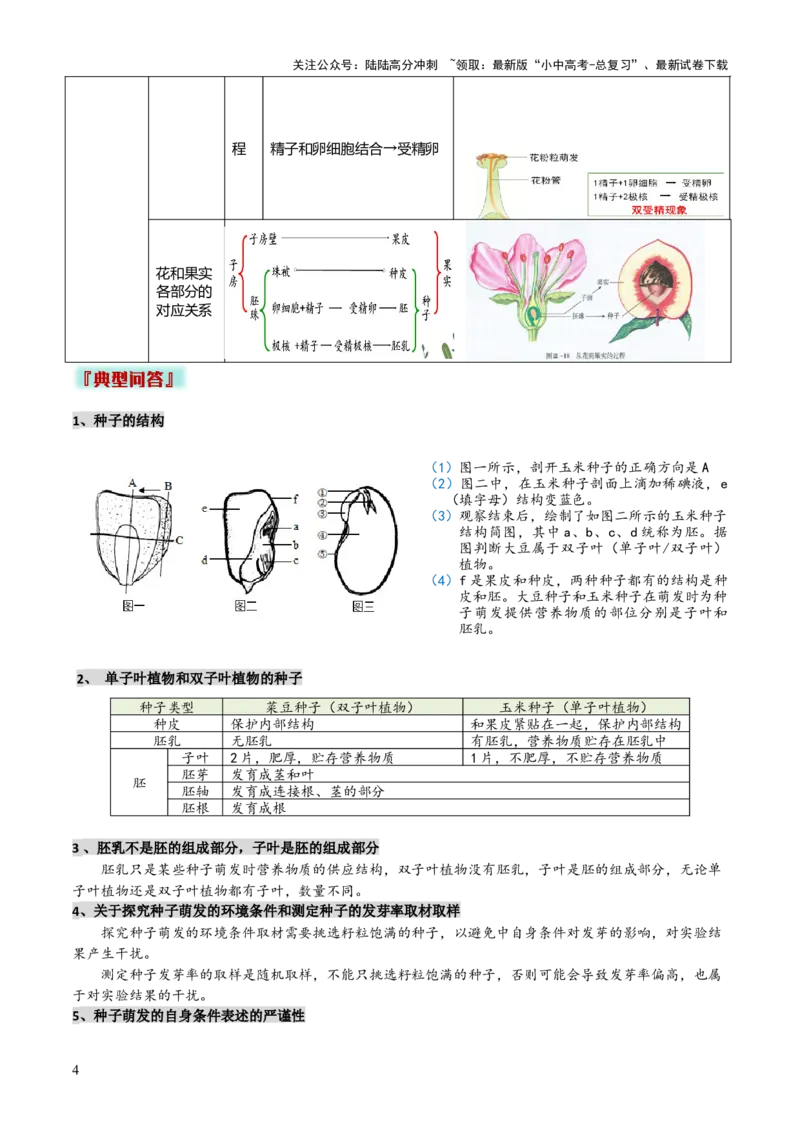 专题03植物的生活（3大模板）（解析版）_02中考总复习（2026版更新中）_08-生物-中考总复习_2025中考复习资料_2025年中考生物答题方法模板
