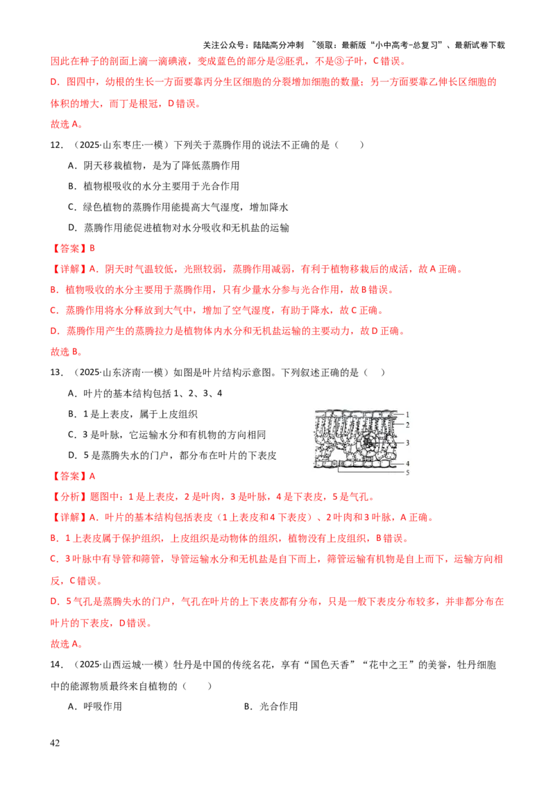 专题03植物的生活（3大模板）（解析版）_02中考总复习（2026版更新中）_08-生物-中考总复习_2025中考复习资料_2025年中考生物答题方法模板