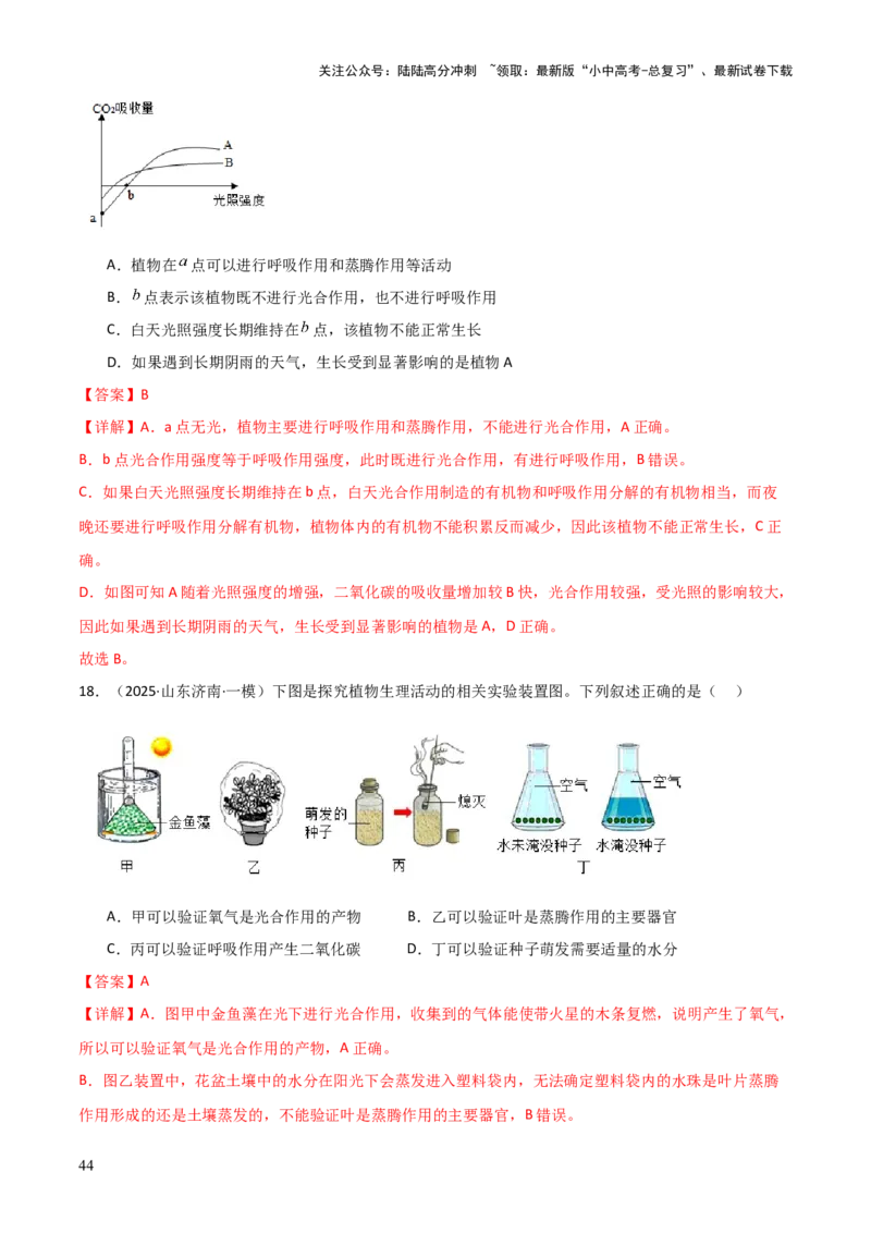 专题03植物的生活（3大模板）（解析版）_02中考总复习（2026版更新中）_08-生物-中考总复习_2025中考复习资料_2025年中考生物答题方法模板