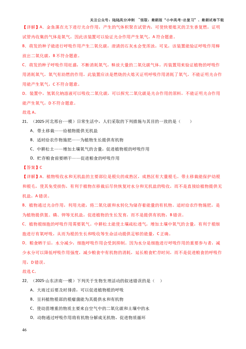 专题03植物的生活（3大模板）（解析版）_02中考总复习（2026版更新中）_08-生物-中考总复习_2025中考复习资料_2025年中考生物答题方法模板