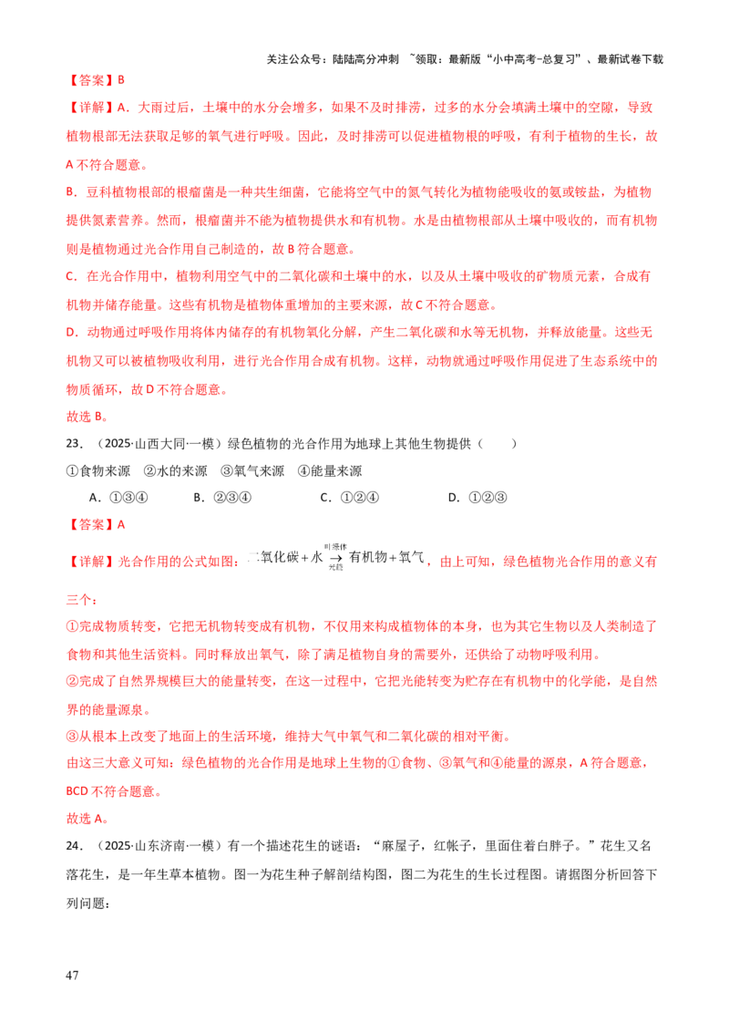 专题03植物的生活（3大模板）（解析版）_02中考总复习（2026版更新中）_08-生物-中考总复习_2025中考复习资料_2025年中考生物答题方法模板