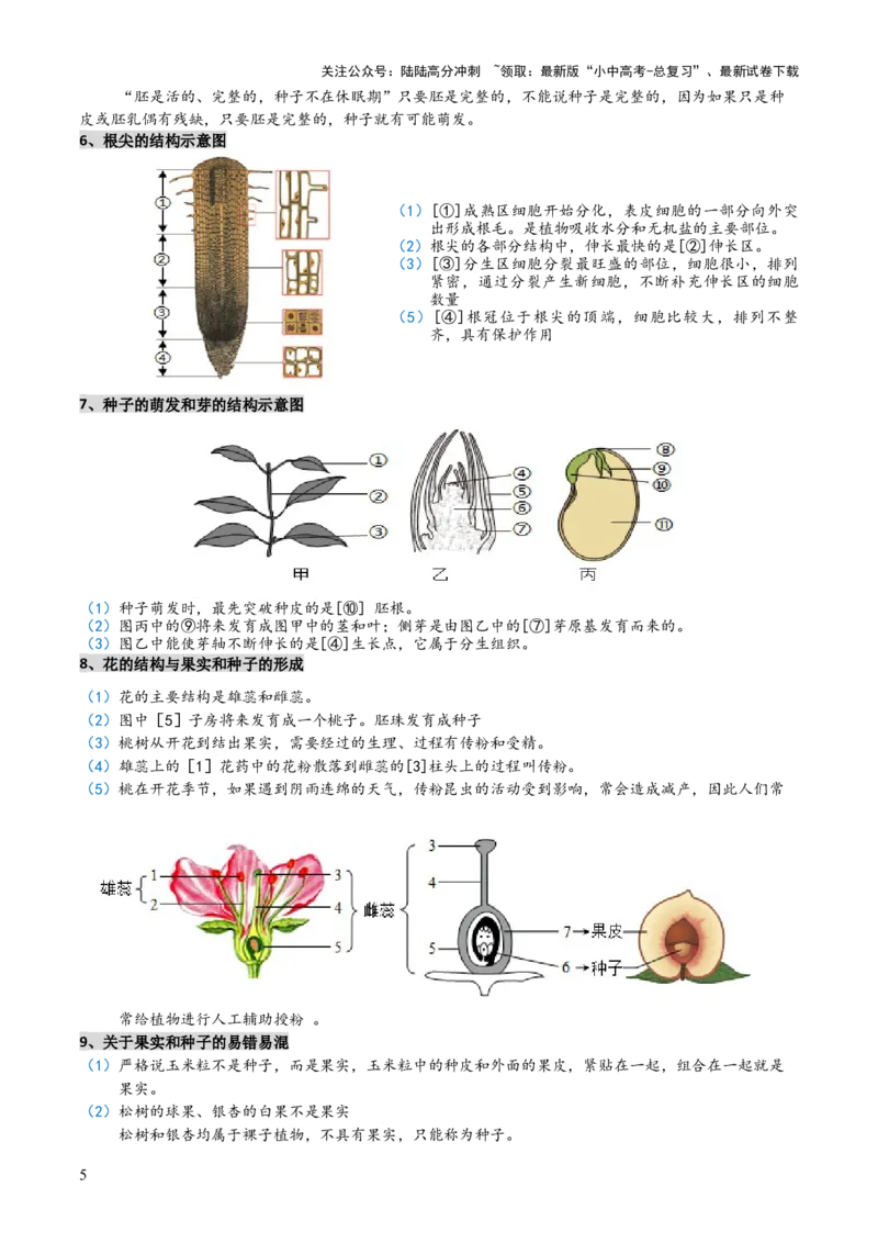 专题03植物的生活（3大模板）（解析版）_02中考总复习（2026版更新中）_08-生物-中考总复习_2025中考复习资料_2025年中考生物答题方法模板