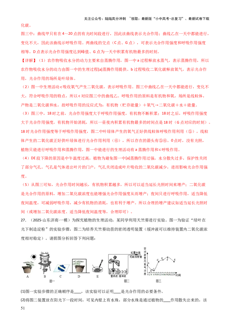 专题03植物的生活（3大模板）（解析版）_02中考总复习（2026版更新中）_08-生物-中考总复习_2025中考复习资料_2025年中考生物答题方法模板