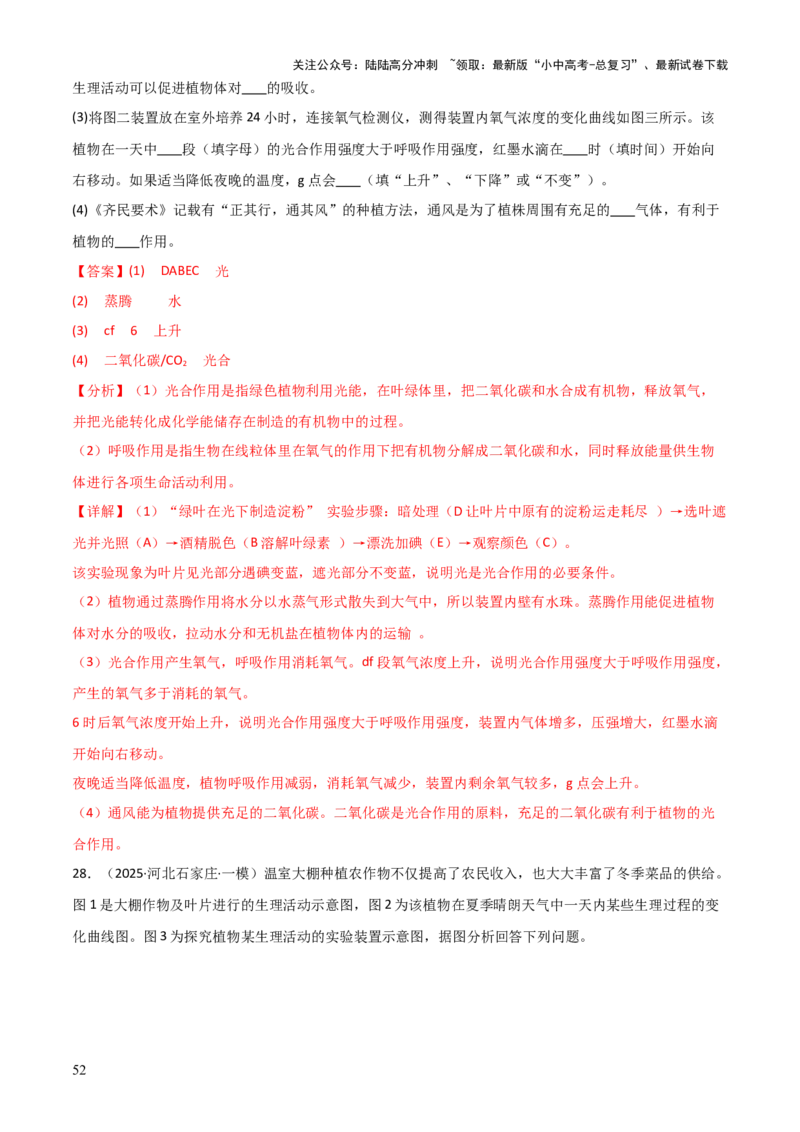 专题03植物的生活（3大模板）（解析版）_02中考总复习（2026版更新中）_08-生物-中考总复习_2025中考复习资料_2025年中考生物答题方法模板