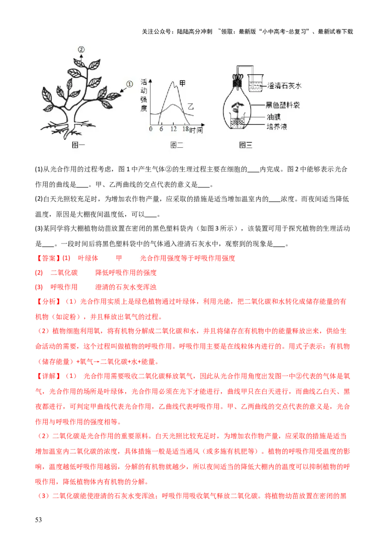 专题03植物的生活（3大模板）（解析版）_02中考总复习（2026版更新中）_08-生物-中考总复习_2025中考复习资料_2025年中考生物答题方法模板
