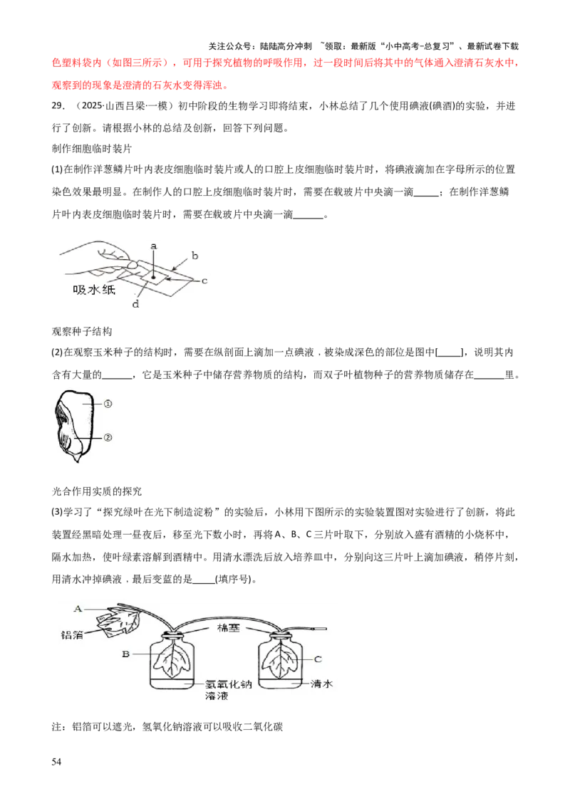 专题03植物的生活（3大模板）（解析版）_02中考总复习（2026版更新中）_08-生物-中考总复习_2025中考复习资料_2025年中考生物答题方法模板