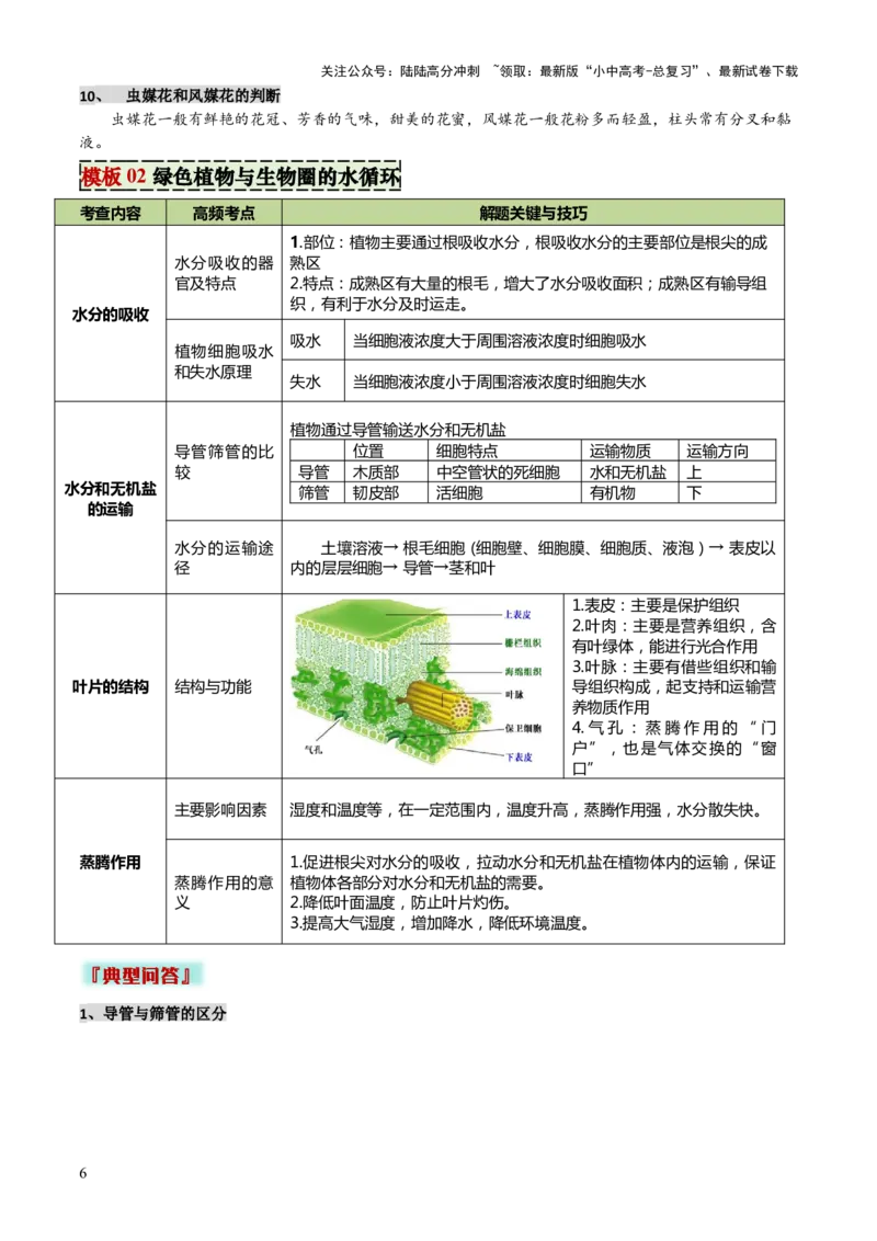 专题03植物的生活（3大模板）（解析版）_02中考总复习（2026版更新中）_08-生物-中考总复习_2025中考复习资料_2025年中考生物答题方法模板