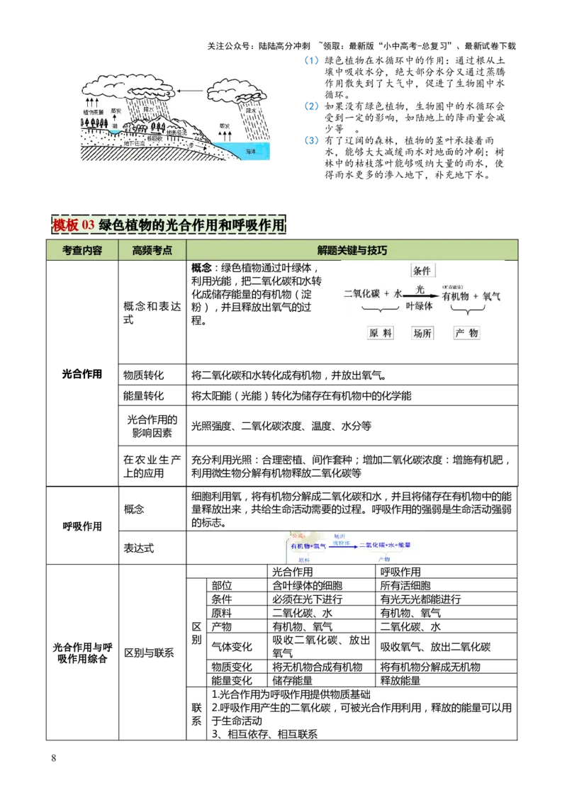 专题03植物的生活（3大模板）（解析版）_02中考总复习（2026版更新中）_08-生物-中考总复习_2025中考复习资料_2025年中考生物答题方法模板