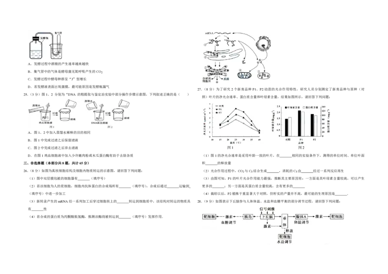 2015年江苏省高考生物试卷_全国卷+地方卷_6.生物_1.生物高考真题试卷_2008-2020年_地方卷_江苏高考生物07-20_A3word版_PDF版（赠送）