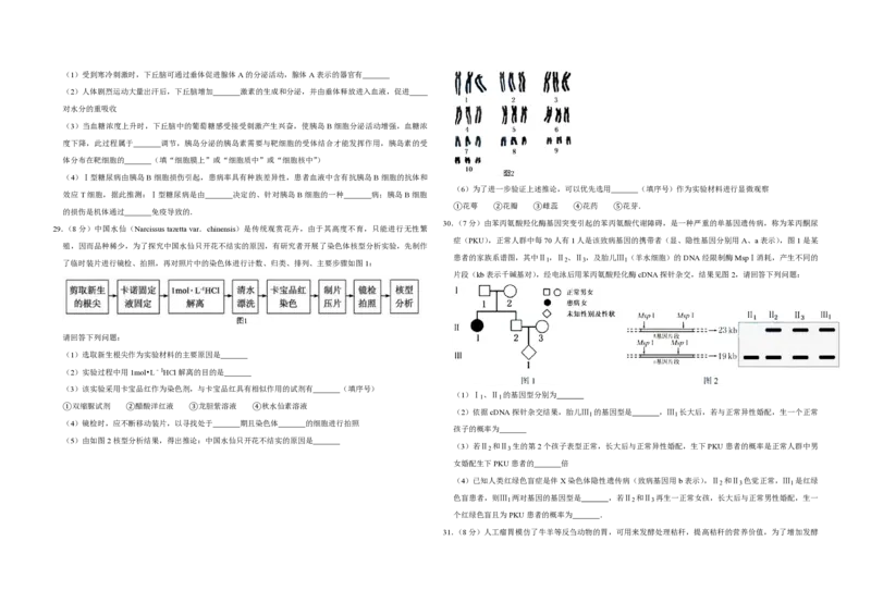 2015年江苏省高考生物试卷_全国卷+地方卷_6.生物_1.生物高考真题试卷_2008-2020年_地方卷_江苏高考生物07-20_A3word版_PDF版（赠送）