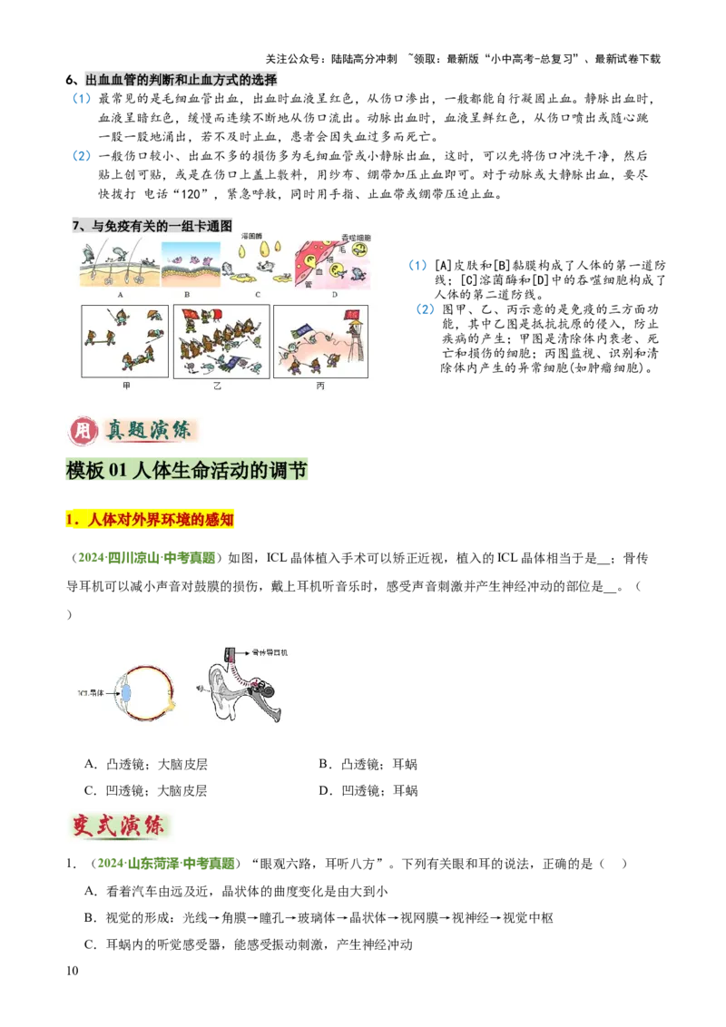 专题05人体生理与健康（二）（3大答题模板）（原卷版）_02中考总复习（2026版更新中）_08-生物-中考总复习_2025中考复习资料_2025年中考生物答题方法模板