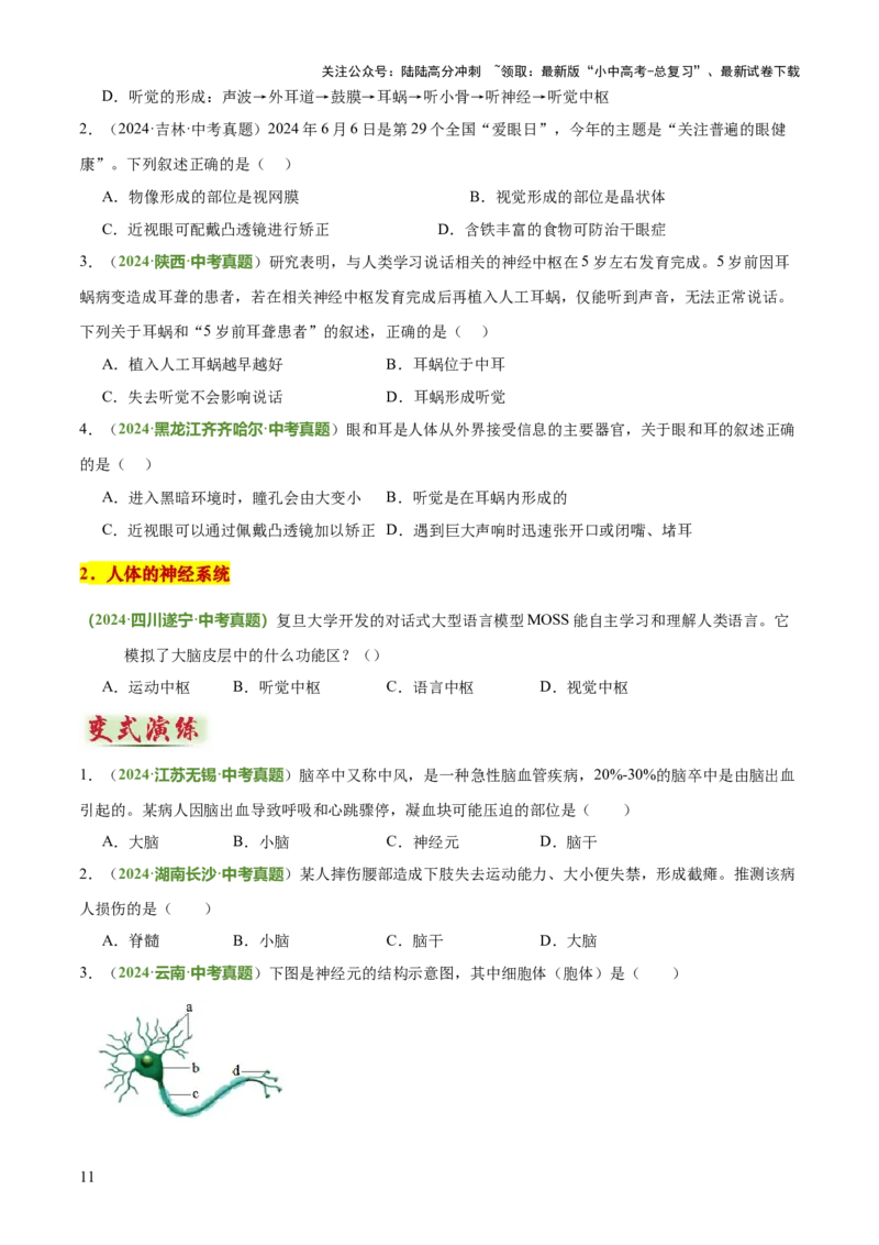 专题05人体生理与健康（二）（3大答题模板）（原卷版）_02中考总复习（2026版更新中）_08-生物-中考总复习_2025中考复习资料_2025年中考生物答题方法模板
