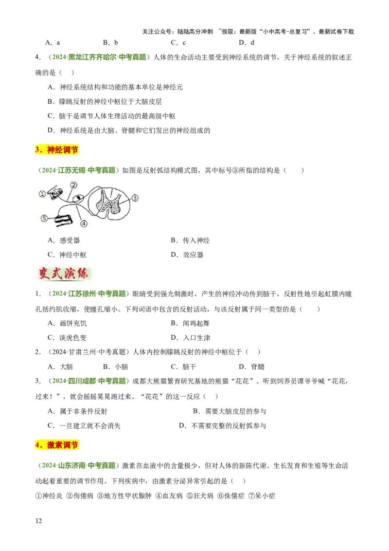 专题05人体生理与健康（二）（3大答题模板）（原卷版）_02中考总复习（2026版更新中）_08-生物-中考总复习_2025中考复习资料_2025年中考生物答题方法模板