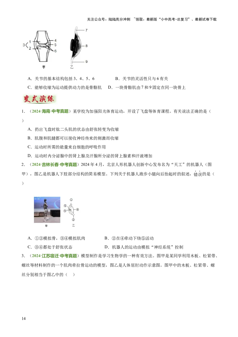 专题05人体生理与健康（二）（3大答题模板）（原卷版）_02中考总复习（2026版更新中）_08-生物-中考总复习_2025中考复习资料_2025年中考生物答题方法模板