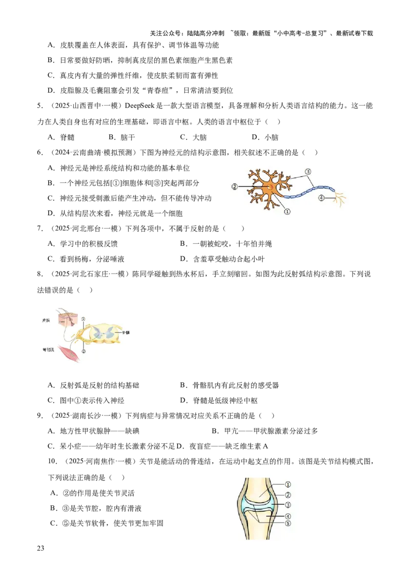 专题05人体生理与健康（二）（3大答题模板）（原卷版）_02中考总复习（2026版更新中）_08-生物-中考总复习_2025中考复习资料_2025年中考生物答题方法模板