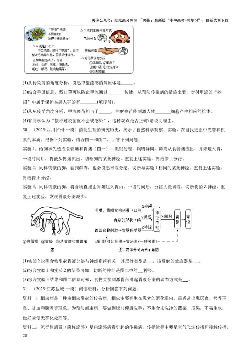 专题05人体生理与健康（二）（3大答题模板）（原卷版）_02中考总复习（2026版更新中）_08-生物-中考总复习_2025中考复习资料_2025年中考生物答题方法模板