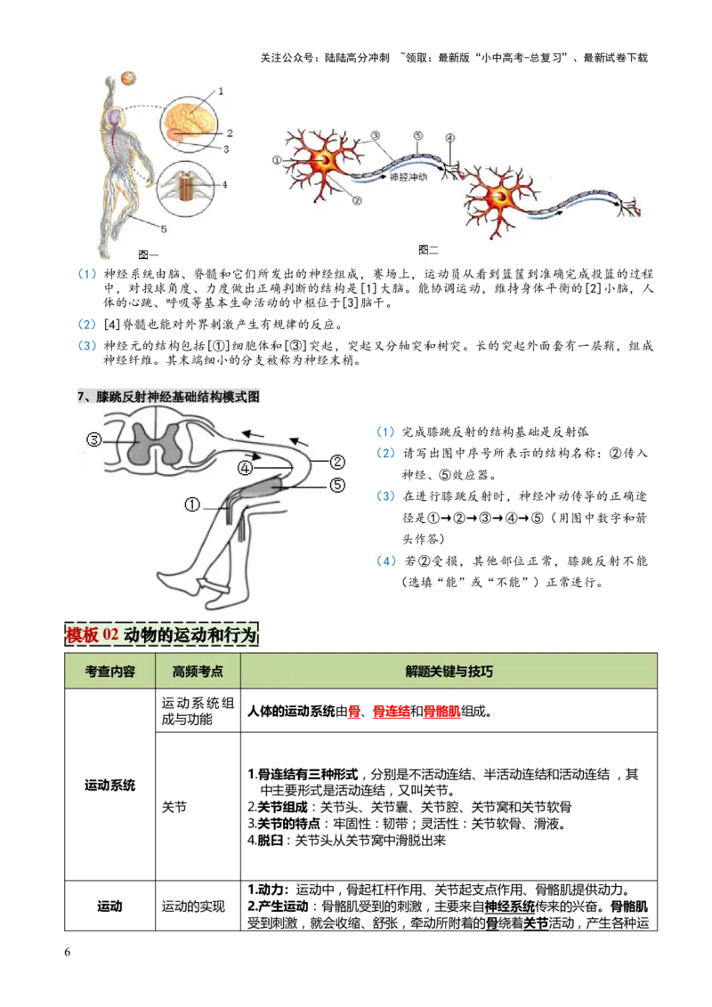 专题05人体生理与健康（二）（3大答题模板）（原卷版）_02中考总复习（2026版更新中）_08-生物-中考总复习_2025中考复习资料_2025年中考生物答题方法模板