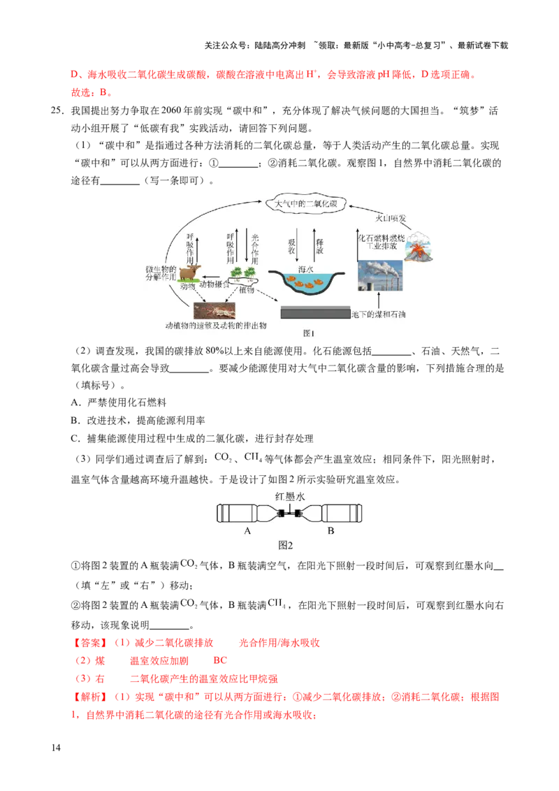 专题05碳和碳的氧化物（练习）（解析版）_02中考总复习（2026版更新中）_05-化学-中考总复习_2025年中考复习资料_2025中考化学一轮复习讲义+课件_练习_专题05碳和碳的氧化物（练习）